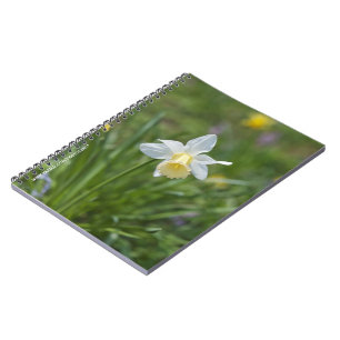 Daffodil Notebook
