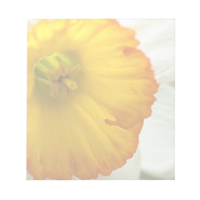 Daffodil Notepad (Front)