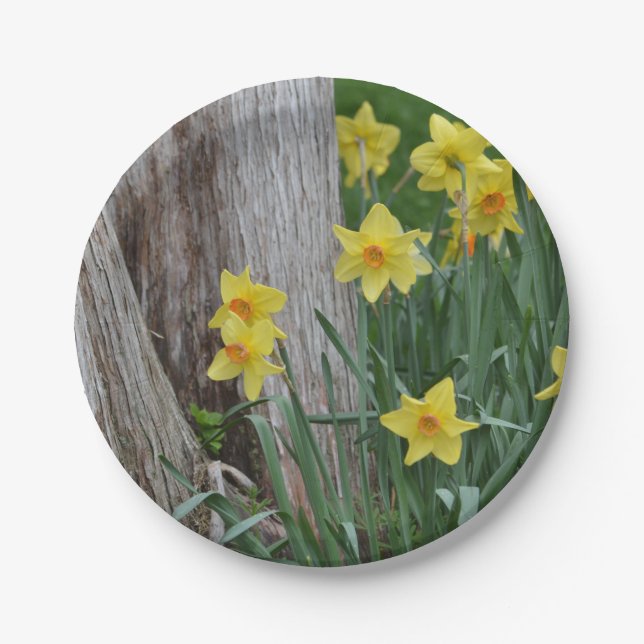 Daffodil Paper Plate (Front)