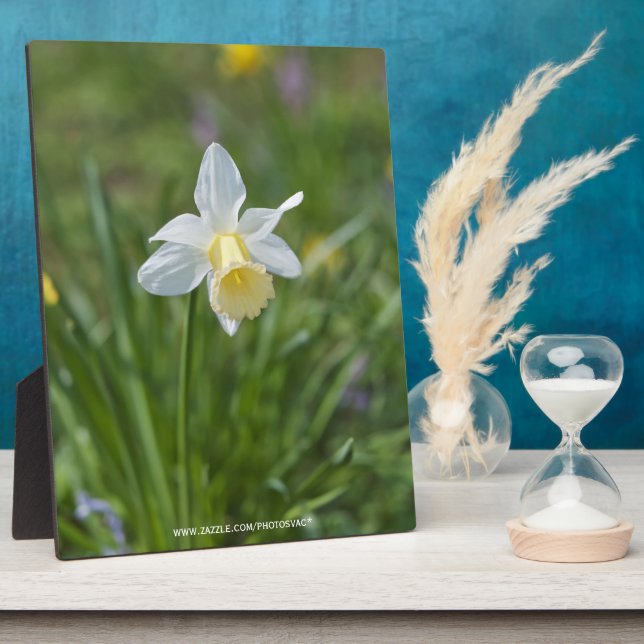 Daffodil Plaque (Side)