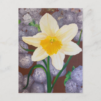 Daffodil Postcard