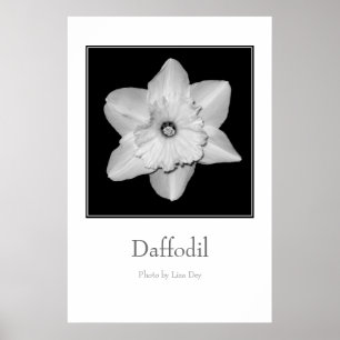 'Daffodil' Poster