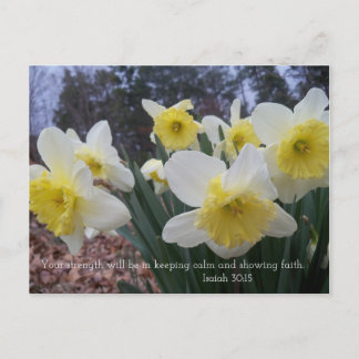 Daffodil print with Isaiah 30:15 Postcard