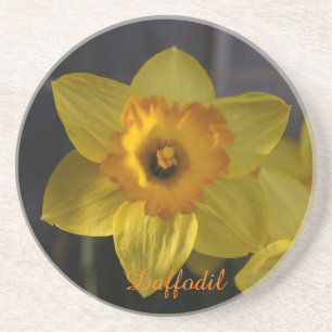 Daffodil sandstone coaster
