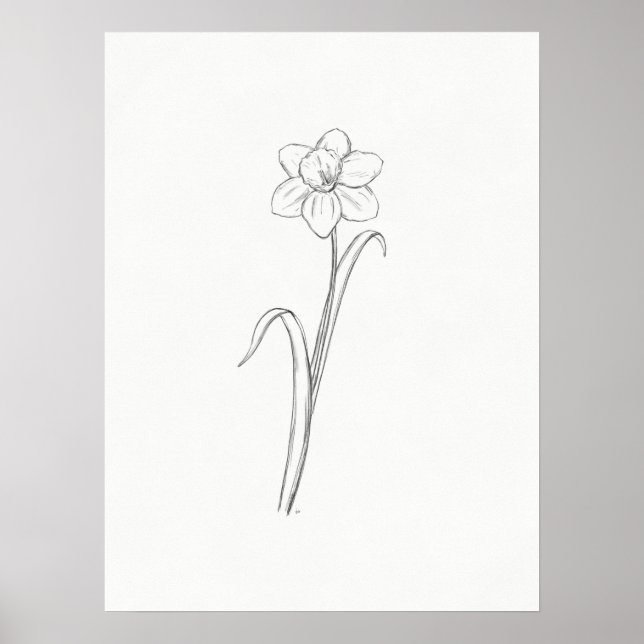Daffodil Sketch Print (Front)