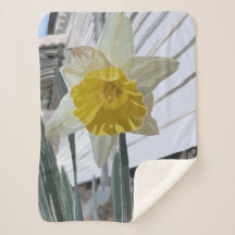 Daffodil Small Sherpa Blanket