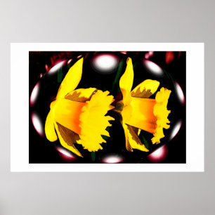 Daffodil spirits poster