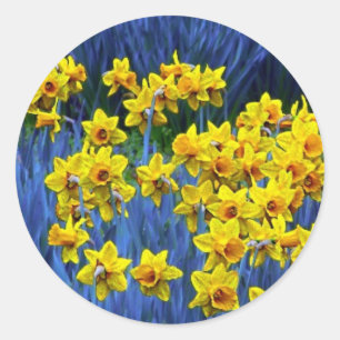 Daffodil Spring Fantasy Classic Round Sticker