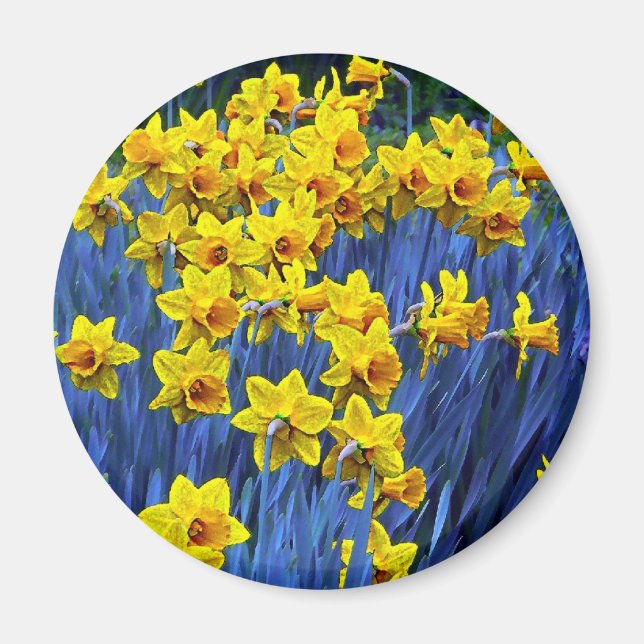 Daffodil Spring Fantasy Magnet (Front)