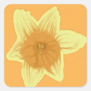 Daffodil Square Sticker Orange Yellow