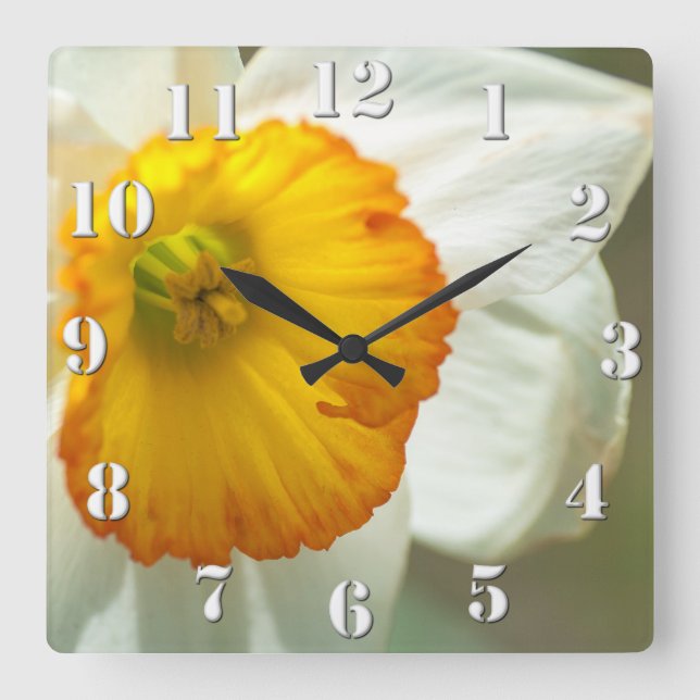 Daffodil Square Wall Clock (Front)