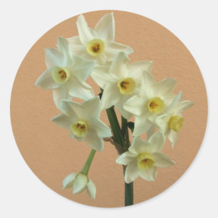 Daffodil Stickers