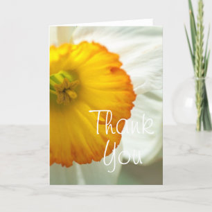 Daffodil Thank You Card