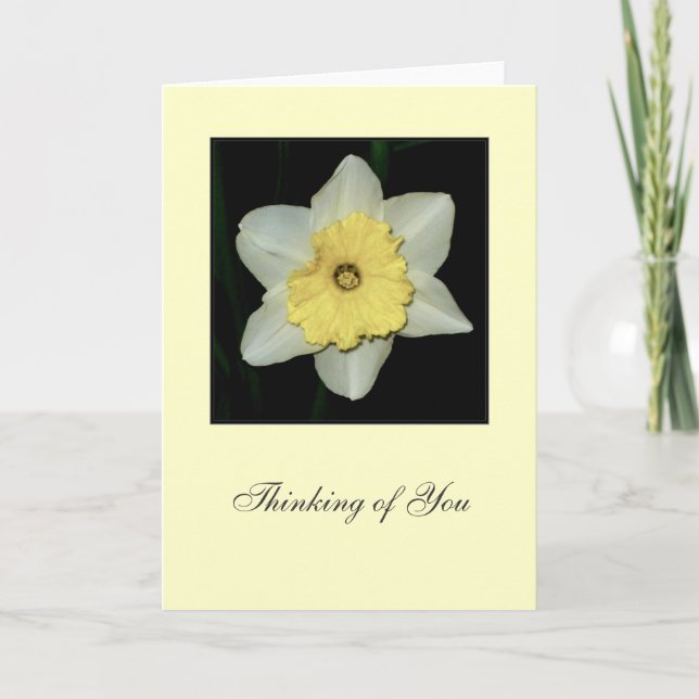 Daffodil 'Thinking of You' Blank Greeting Card (Front)