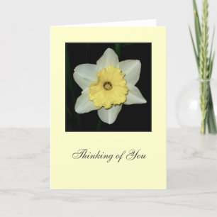 Daffodil 'Thinking of You' Blank Greeting Card