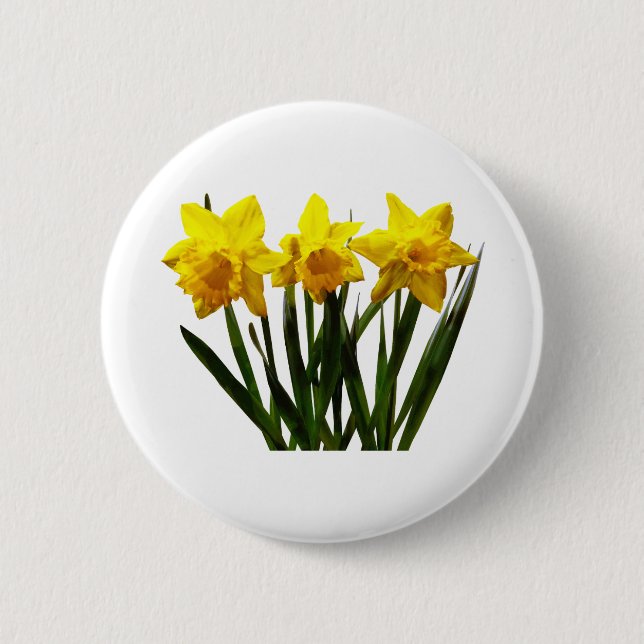 Daffodil Trio 6 Cm Round Badge (Front)