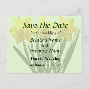 Daffodil Trio Save the Date Announcement Postcard