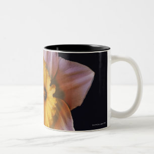 Daffodil Two-Tone Coffee Mug