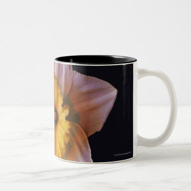 Daffodil Two-Tone Coffee Mug (Right)