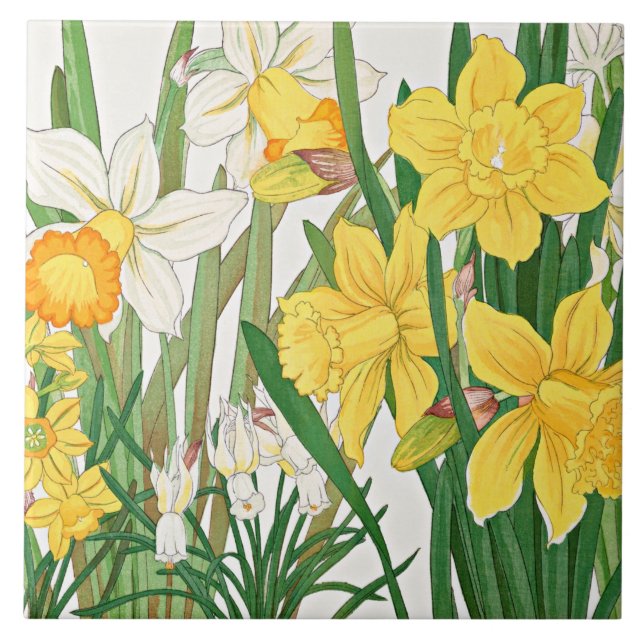 Daffodil Woodblock Painting Ceramic Tile (Front)