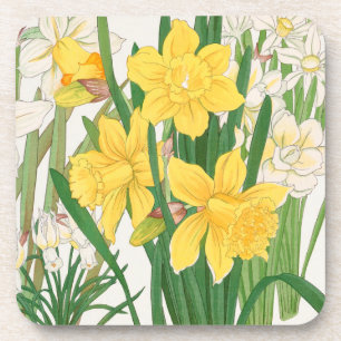 Daffodil Woodblock Painting, Tanigami Kônan, 1917 Coaster