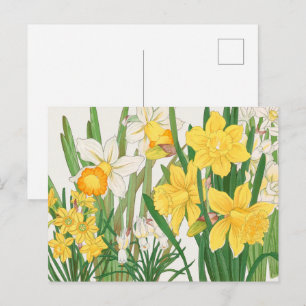 Daffodil Woodblock Painting, Tanigami Kônan, 1917 Postcard
