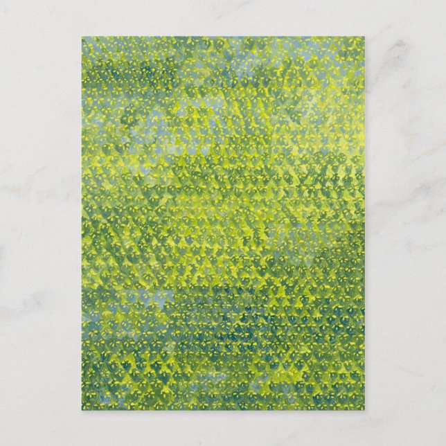 Daffodils 2012 postcard (Front)