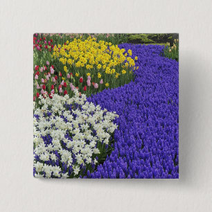 Daffodils and Grape Hyacinth, Keukenhof 2 15 Cm Square Badge