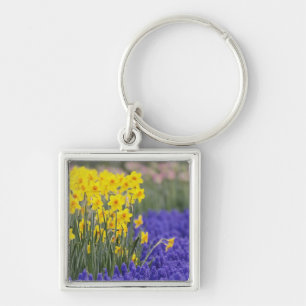 Daffodils and Grape Hyacinth, Keukenhof 3 Key Ring