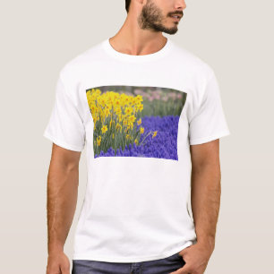 Daffodils and Grape Hyacinth, Keukenhof 3 T-Shirt