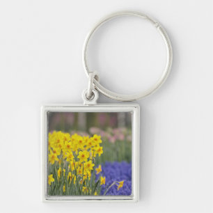 Daffodils and Grape Hyacinth, Keukenhof Key Ring