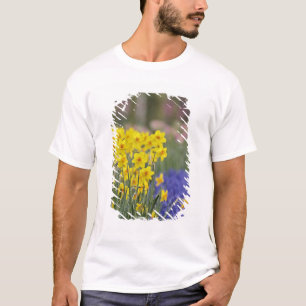 Daffodils and Grape Hyacinth, Keukenhof T-Shirt