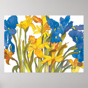 Daffodils and Iris Poster