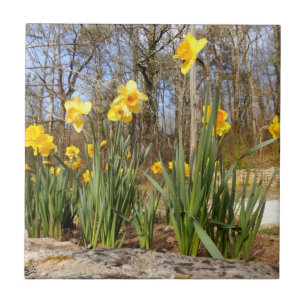 Daffodils at Easter Ceramic Photo Tile