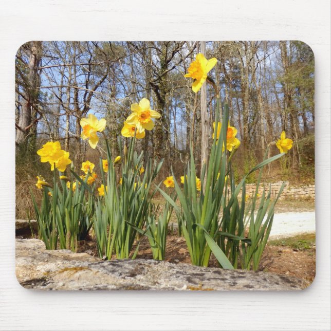 Daffodils at Easter Mouse Mat (Front)