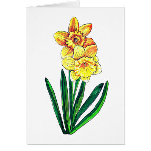 Daffodils Blank