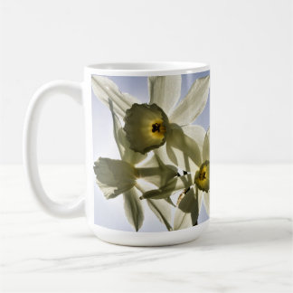 Daffodils blooming with a spring blue sky  coffee mug