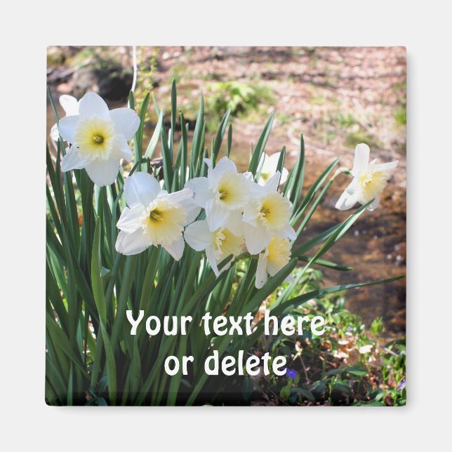 Daffodils By Brook Flower Personalised Magnet (Front)