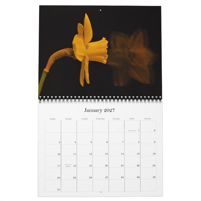 Daffodils Calendar (Jan 2027)