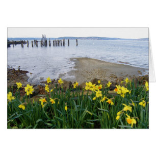 Daffodils Card