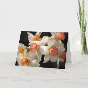 Daffodils Card