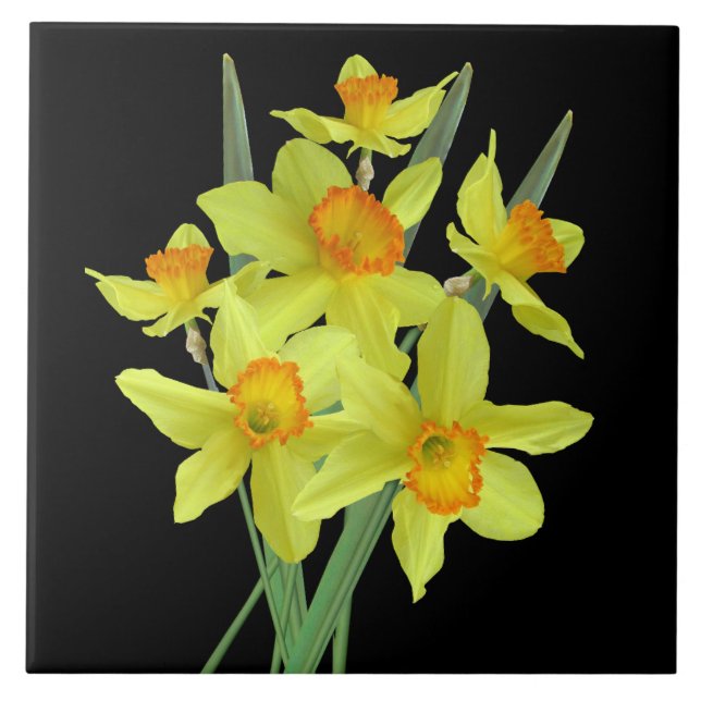 Daffodils Ceramic Tile (Front)