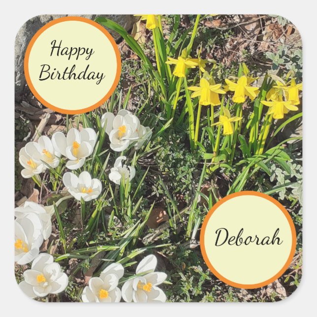 Daffodils & Crocus Birthday  Square Sticker (Front)