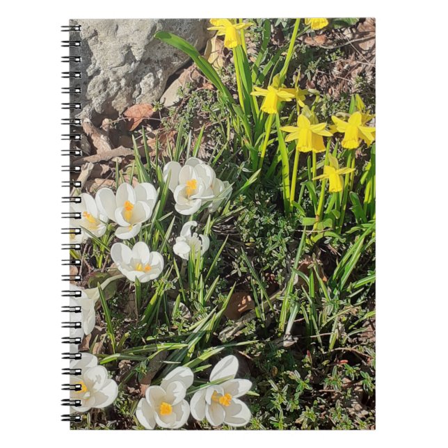 Daffodils & Crocus Spiral Notebook (Front)