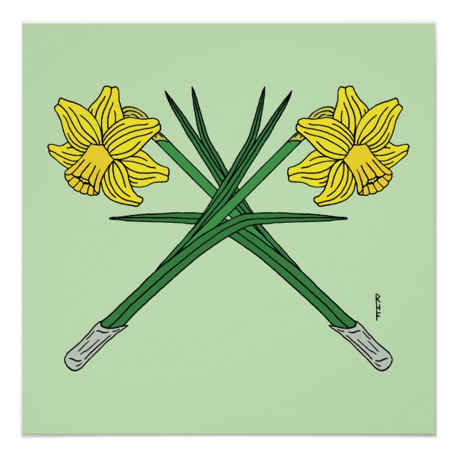 Daffodils Crossed Poster (Front)