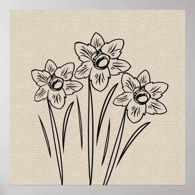 Daffodils Drawing Canvas Flower Poster (Front)