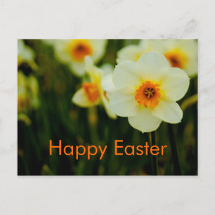 Daffodils ・ Easter Postcard
