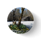 Daffodils flowers in the snow