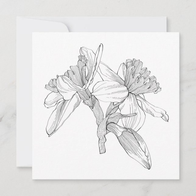 Daffodils flowers line bouquet. card (Front)