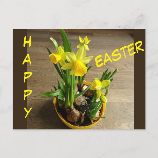 Daffodils Happy Easter Cust. Text Postcard (Front)